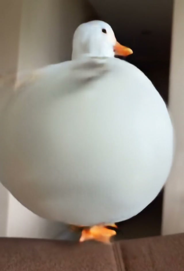 balloon_flyaway